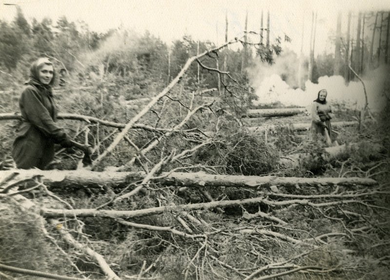 KKE 4509.jpg - Leonarda Filipow przy wyrąbie lasu, Małodeczno, 1956 r.